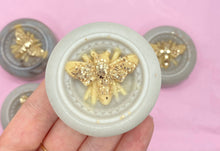 Load image into Gallery viewer, Bee Cup Melts