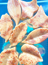 Load image into Gallery viewer, Autumn Leaves