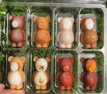 Load image into Gallery viewer, The Sweet Bear Sample Box