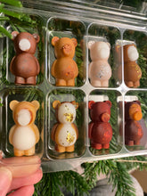 Load image into Gallery viewer, The Sweet Bear Sample Box