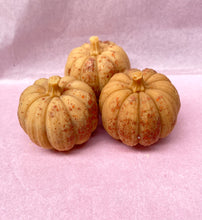Load image into Gallery viewer, Pair of Pumpkins